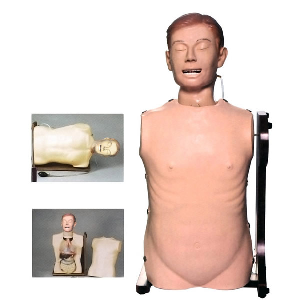 高級鼻胃管與氣管護理模型