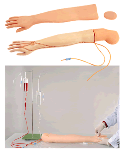 高级多功能静脉穿刺输液手臂模型（可换皮）