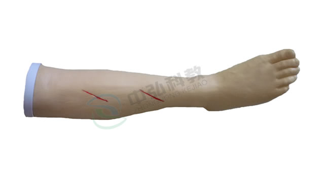 高级外科缝合腿肢训练模型