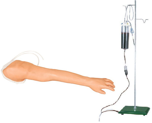 全功能完整静脉穿刺及注射训练手臂模型