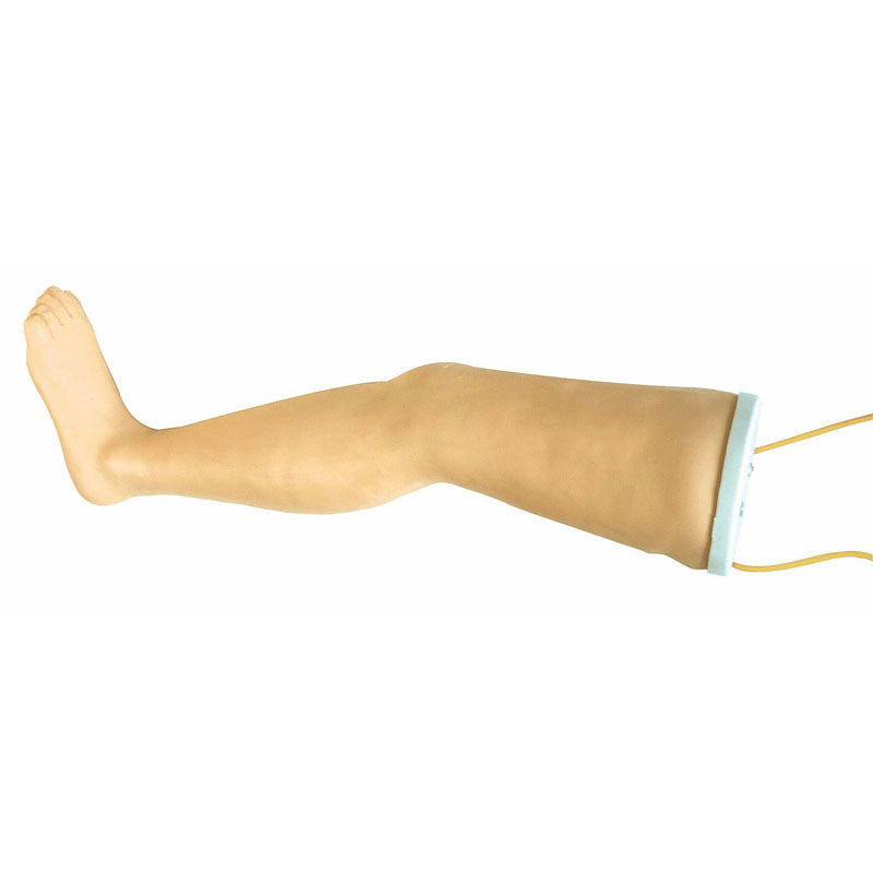 高级成人静脉输液腿模型