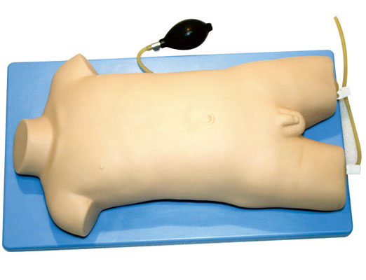 兒童股靜脈與股動脈穿刺訓練模型