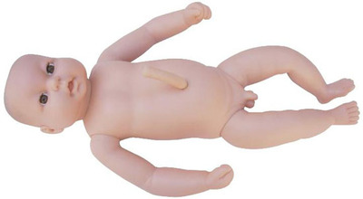 高级出生婴儿附脐带模型