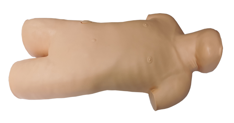 腹腔与骨髓穿刺模型 腹腔与骨髓练习模型