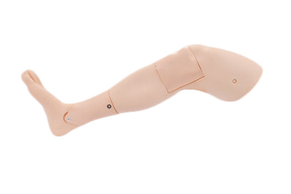 成人胫骨穿刺训练模型 成人下肢骨髓穿刺模型